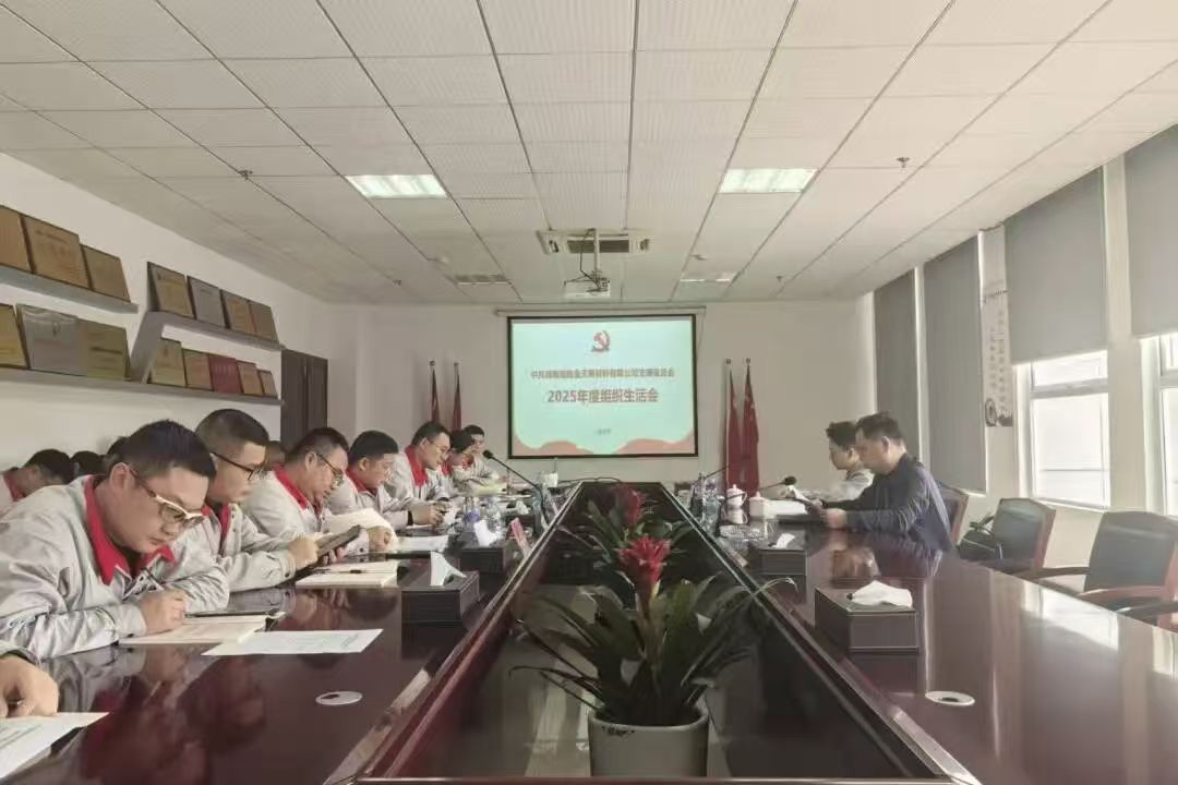 金天新材黨支部召開2025年度組織生活會
